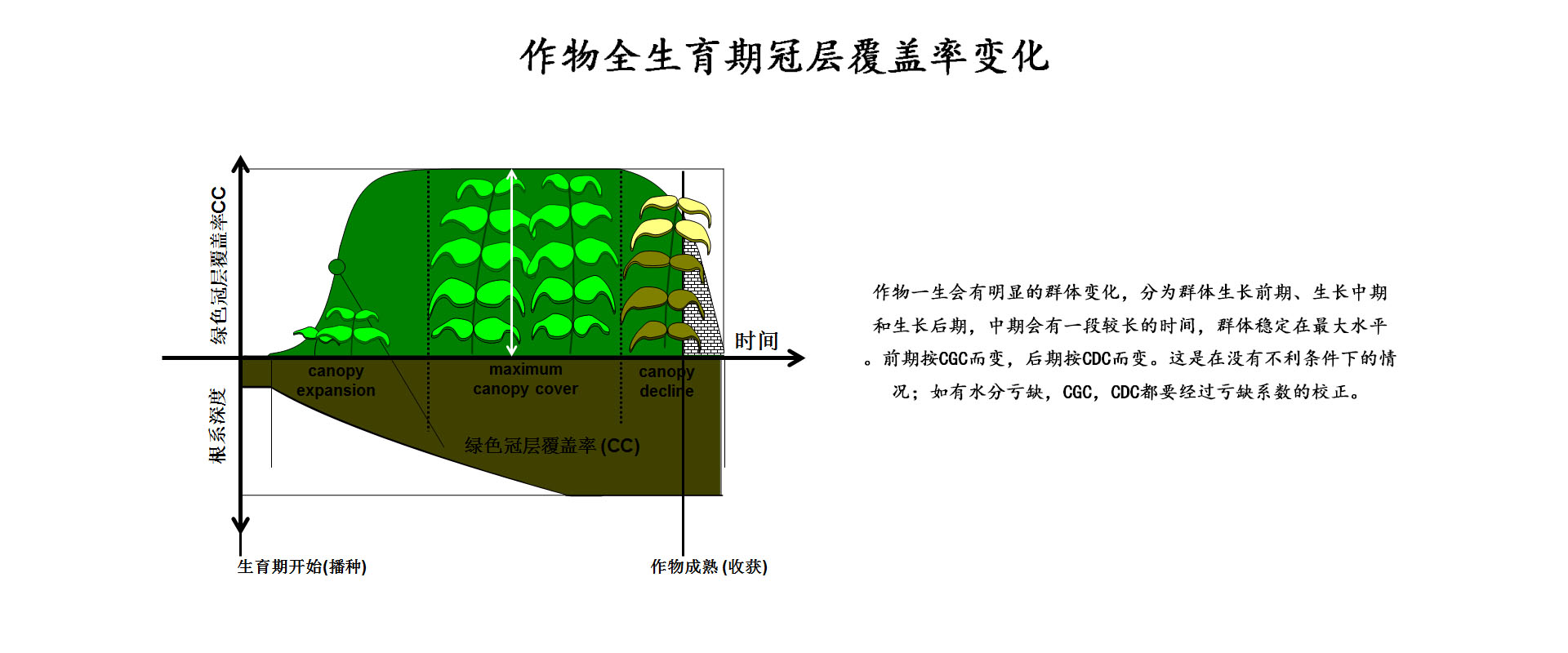 作物监测1-1.jpg