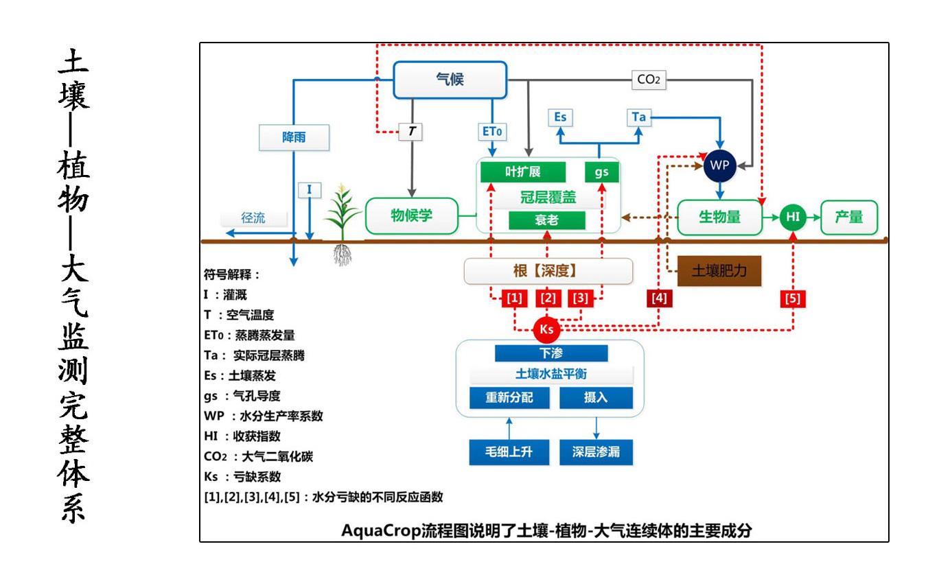 大气定点1-4.jpg