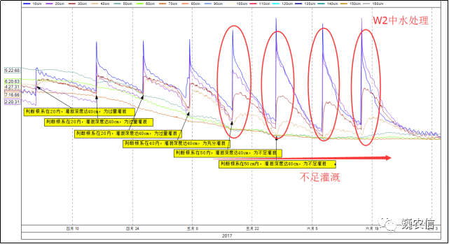 图片14.png